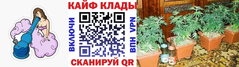 Купить APVP МАРИХУАНА МЕФ ГАШИШ Cocaine Заречный