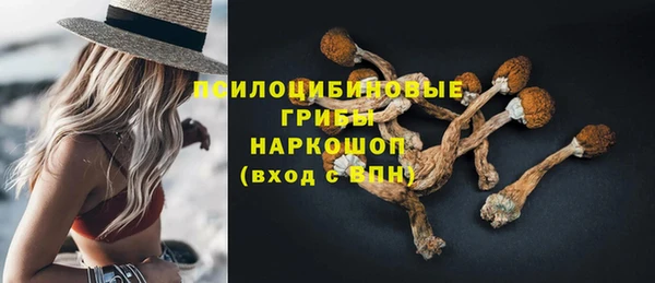 тгк Дмитриев