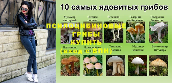 крисы Дмитров