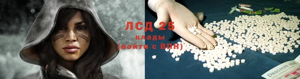 крисы Дмитров