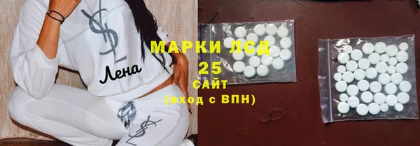 тгк Дмитриев
