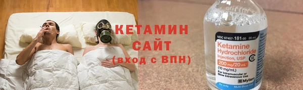 тгк Дмитриев