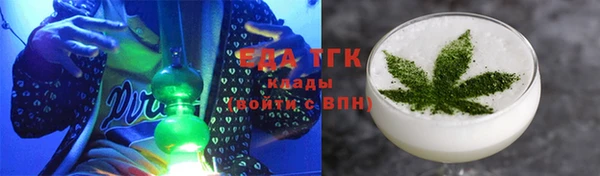 тгк Дмитриев