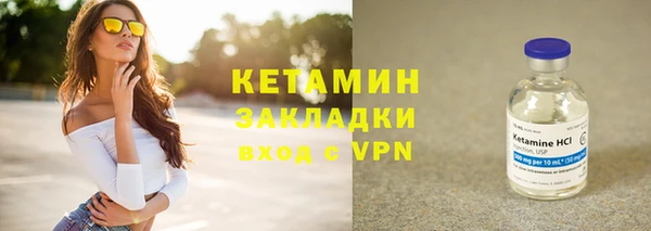 тгк Дмитриев