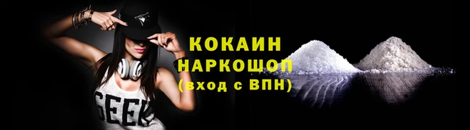 тгк Дмитриев