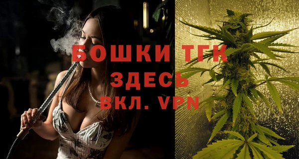 тгк Дмитриев