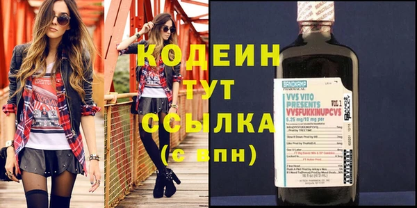 тгк Дмитриев