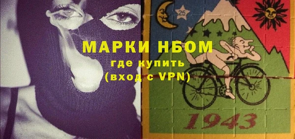 тгк Дмитриев