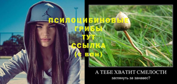 крисы Дмитров