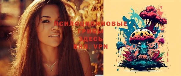 тгк Дмитриев
