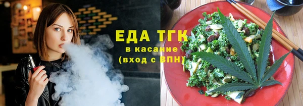 тгк Дмитриев