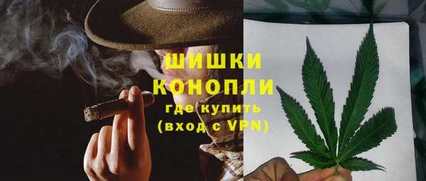 крисы Дмитров