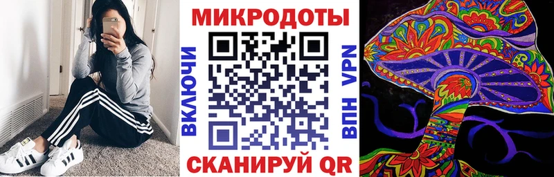 Купить где  Заречный  Псилоцибиновые грибы Psilocybe 